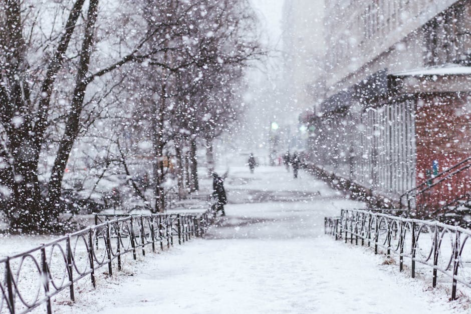 Kontrollgang auf einem Grundstück